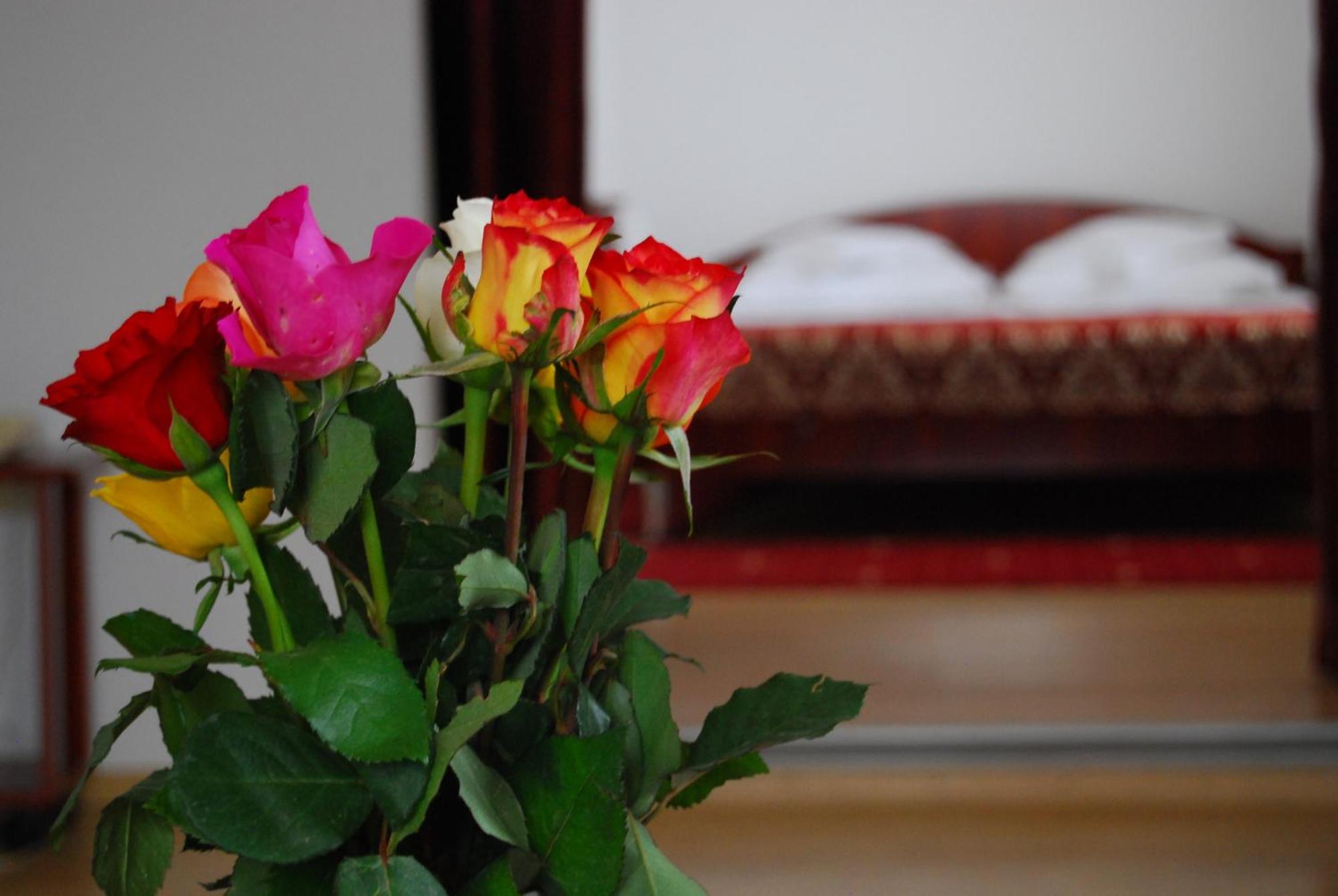 Dali Hotel Neptun Ngoại thất bức ảnh